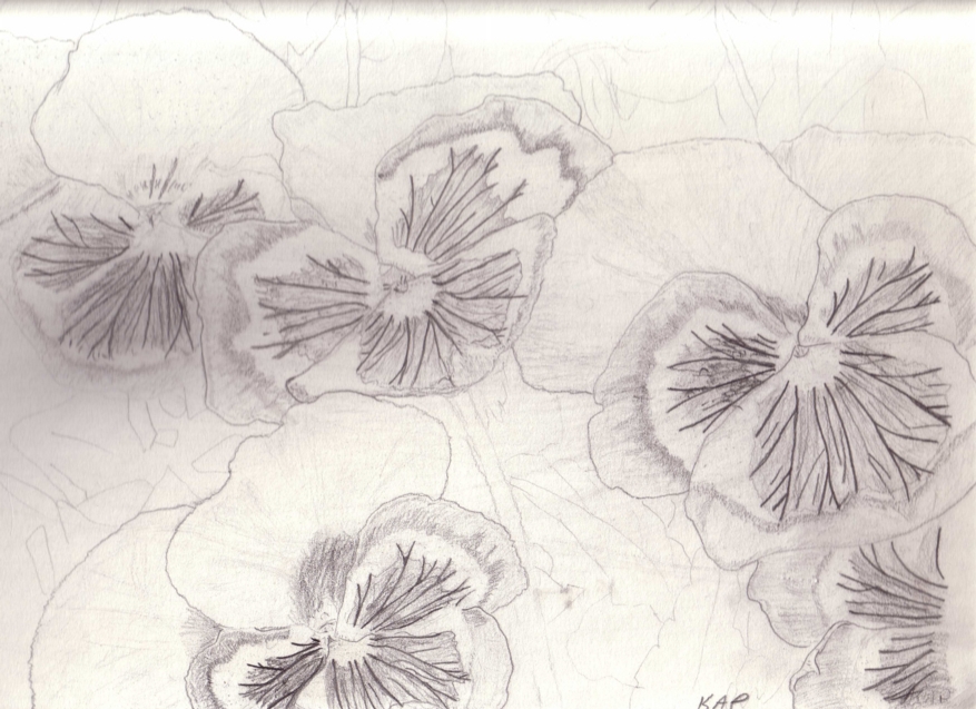 Unfinished_Flowers_full_size.jpg