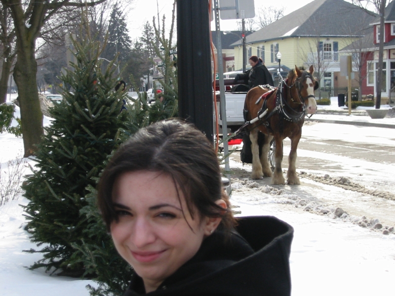 079-Horse_Buggy_Tina.jpg